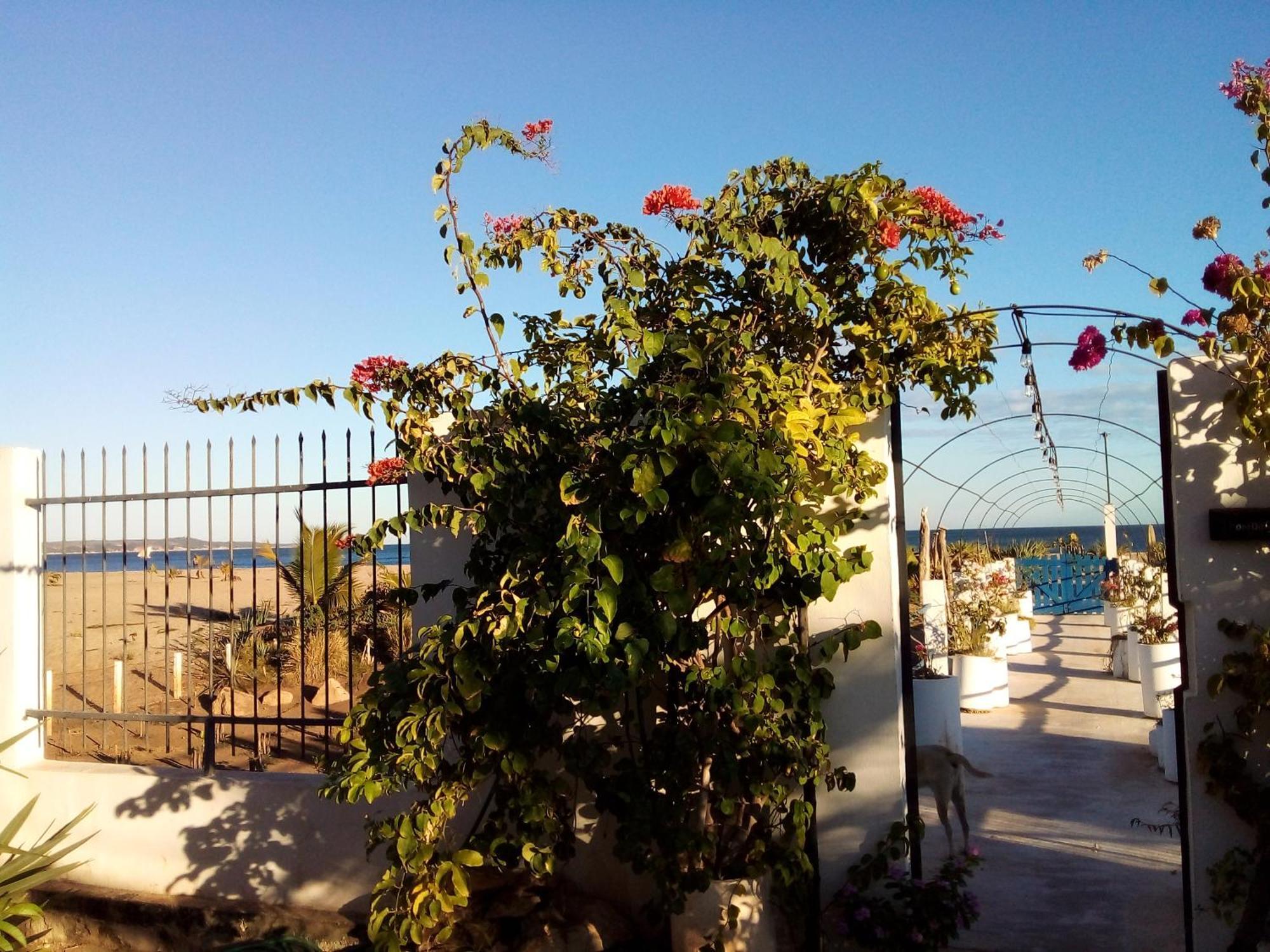 Cytyz Appart Hotel Mahajanga Exterior foto